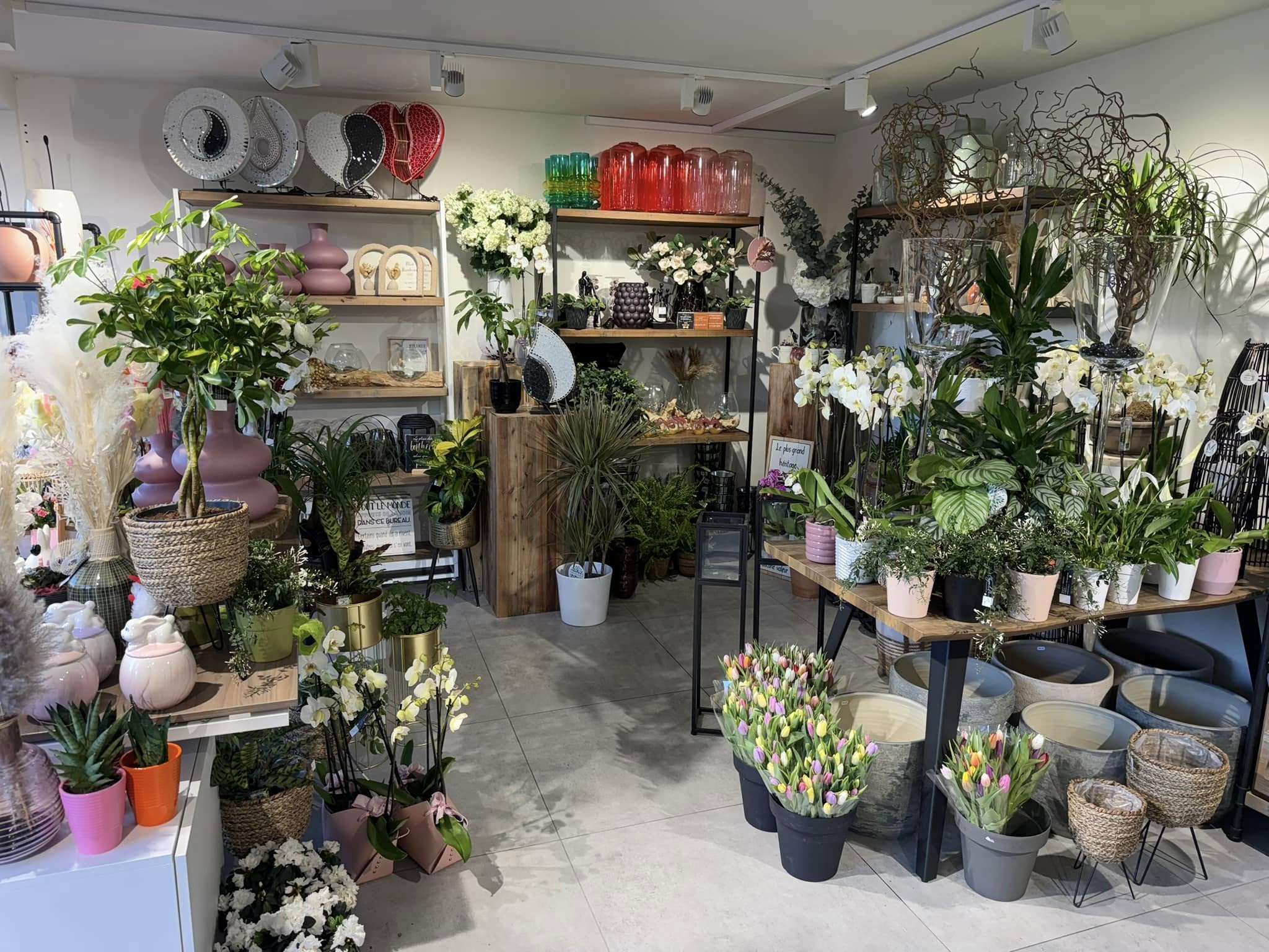 Boutique fleuriste à seraing